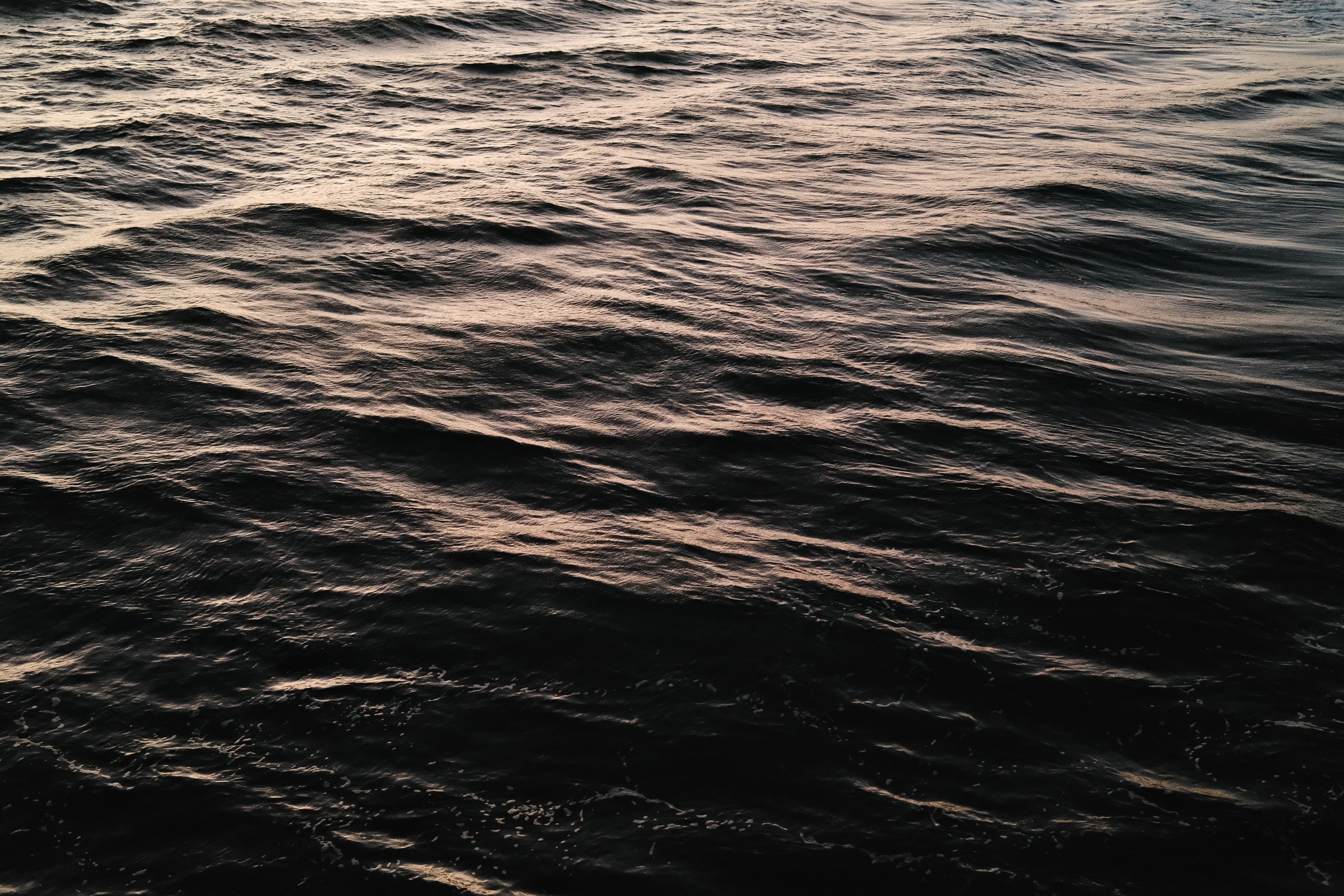 F3B506D5-83D9-483A-9E4A-C02BB0F7D1AE