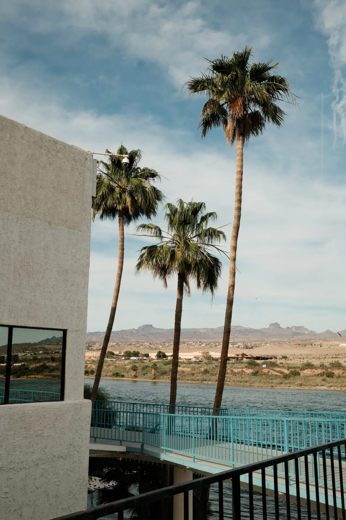 Tall palm trees above a balcony overlooking a river and desert mountains