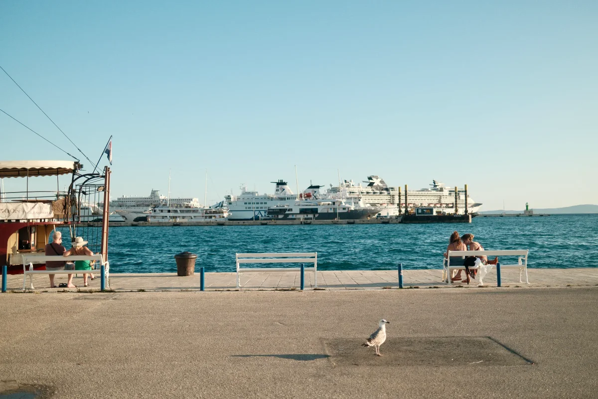Waterfront promenade with benches, a seagull and large ferries moored across the harbor