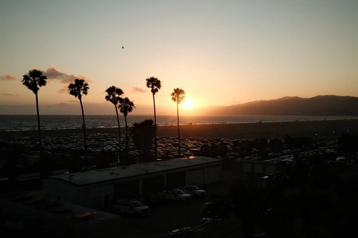 Palm tree silhouettes against a golden sunset over the ocean and coastal mountains