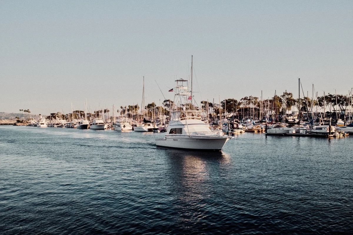 Sport-fishing yacht motoring out of a marina lined with palms and sailboats