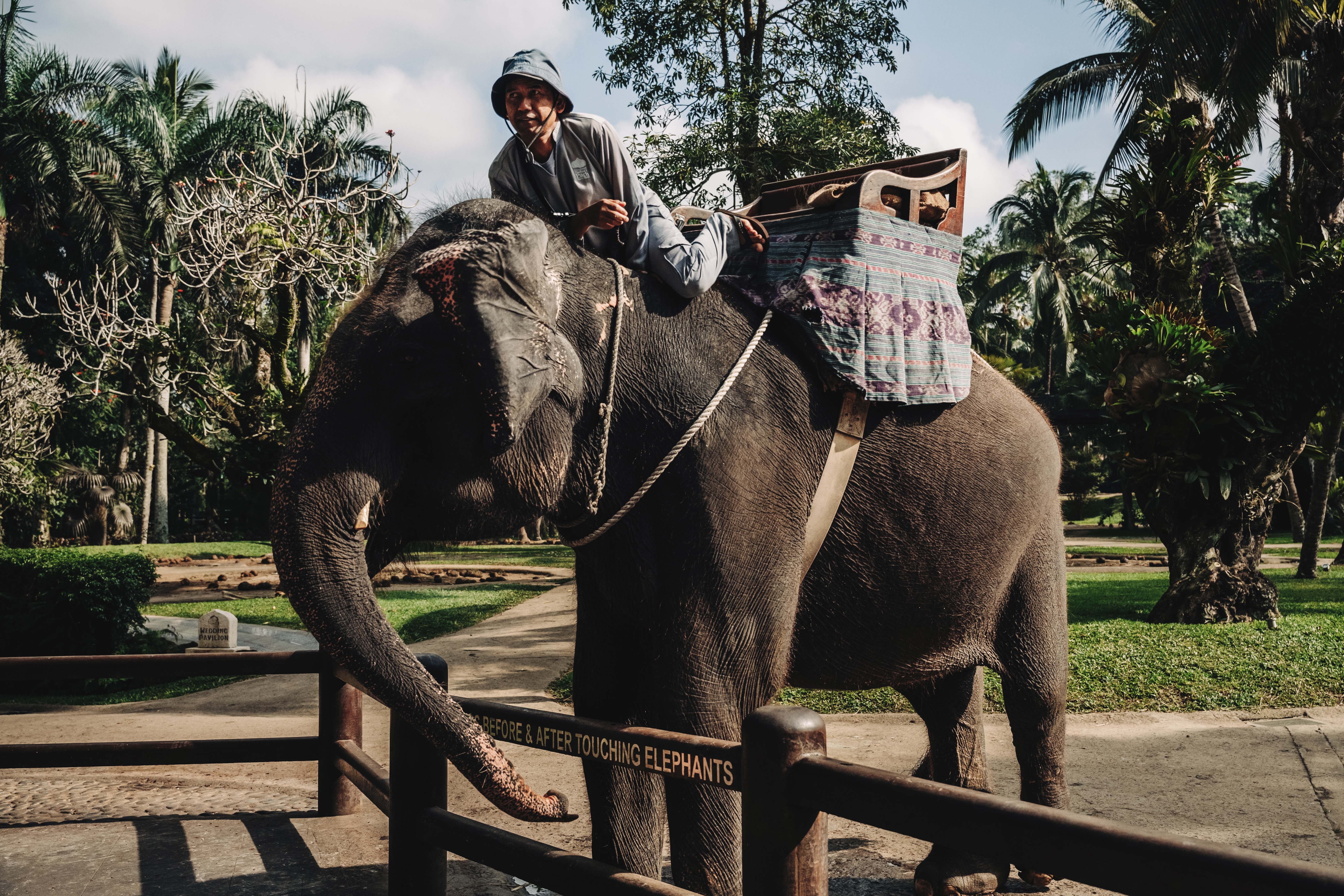 The Mahout